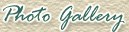Photo Gallery